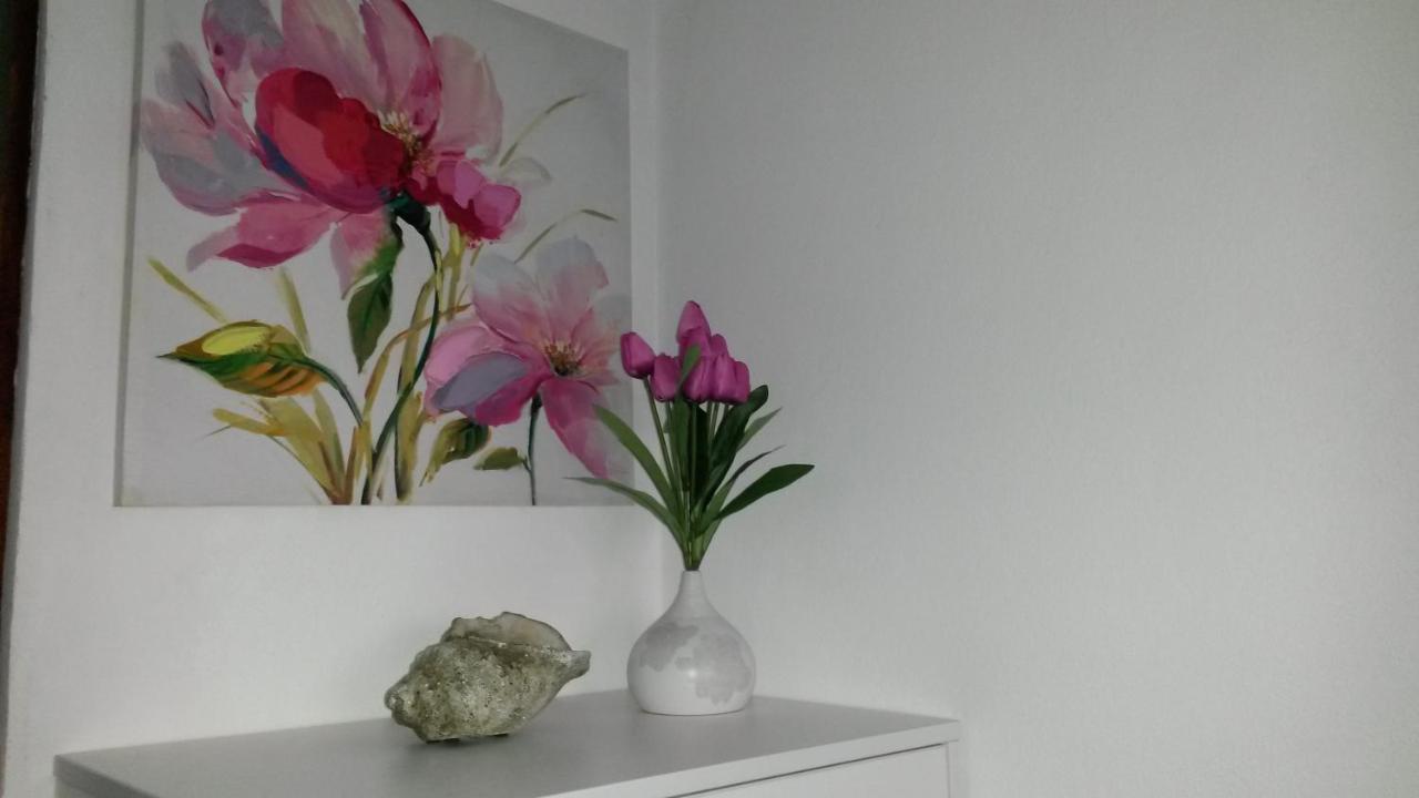 Apartmani Draskovic Petrovac Luaran gambar